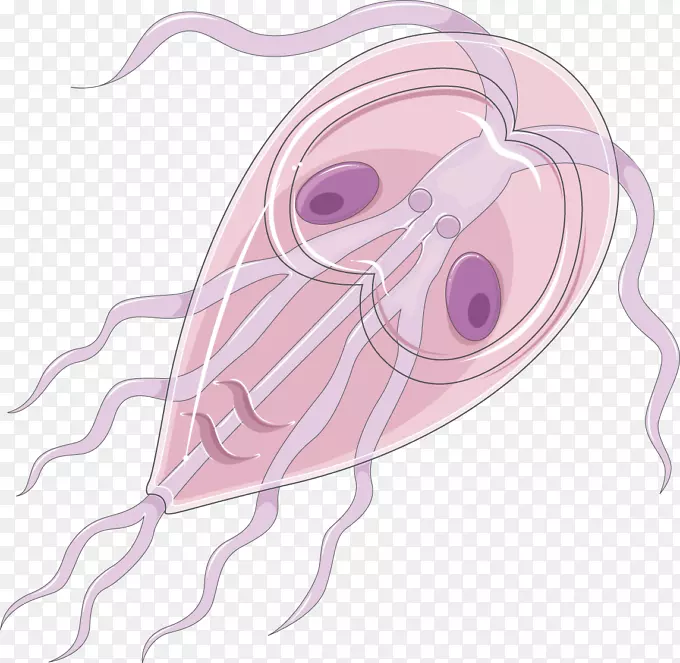 ����ϸ��������������ǣ����ë��-����-������