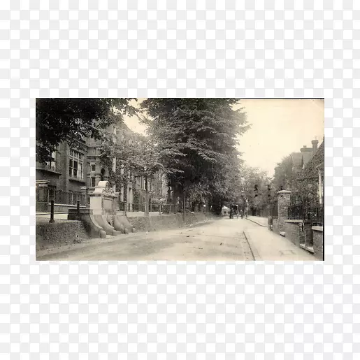 ��ɫ������-������-������