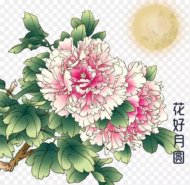 �����-������