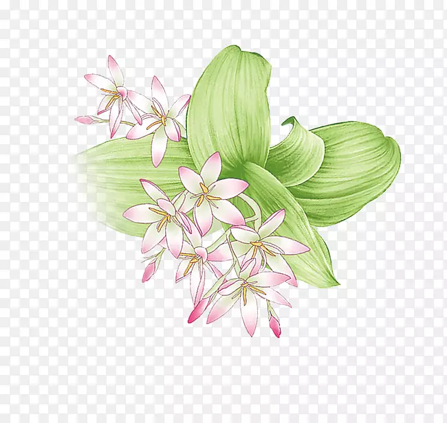 ������Ʋ廨����.����װ��Ԫ��-������