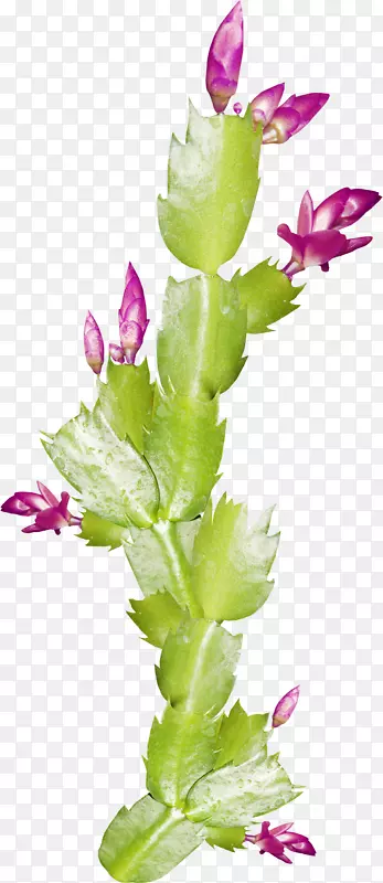 �������.����װ�λ������-������