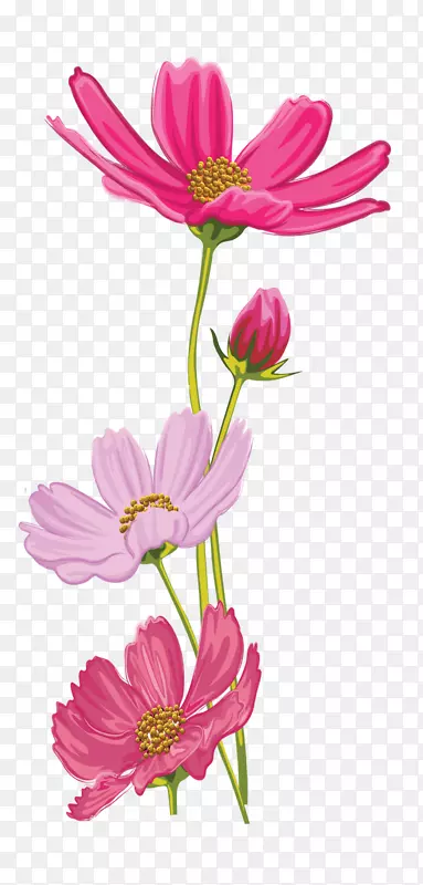 ԰�������л��������ֲ�ﾥ��-������