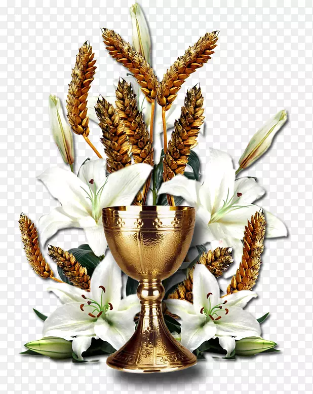 ������Ʋ;����׻���װ�������������-������