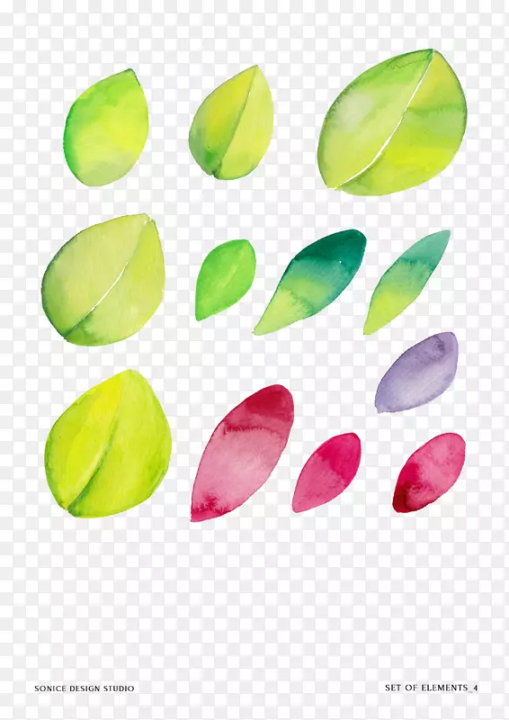 ˮ�ʻ�������.�����Ի滭���ܺͻ��ܲ���-������