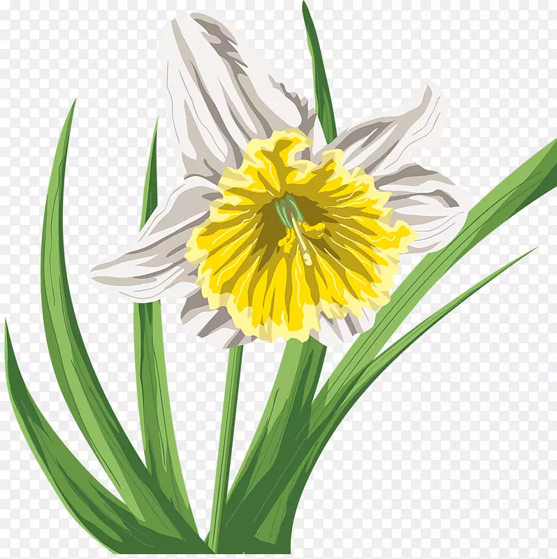 ˮ�ʻ�����ˮ�ʻ����ܲ���-������