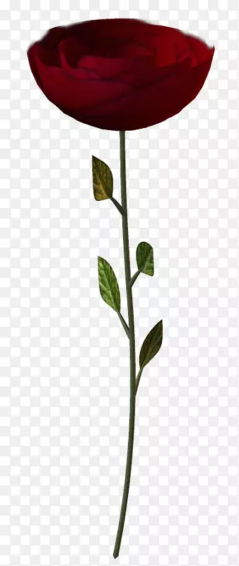 ˮ�ʻ���ˮ�ʻ�-ˮ�ʻ����ܴ��⻨��-������