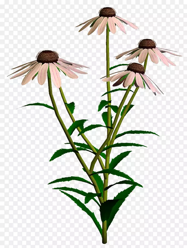 ������Ʋ廨����-�����뻨����ƴ���-������