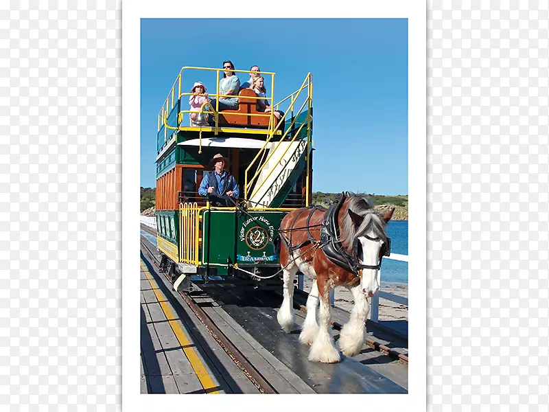 ������Ʊ-�ϰ��޼���-��ƥ-������