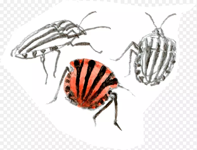 ������󴫷���-������