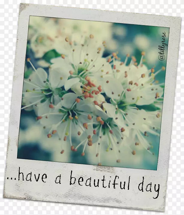 ӣ��������ƻ���-ӣ��-������