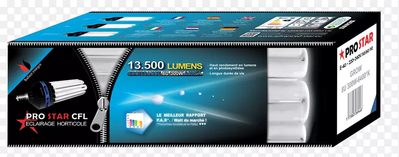 ������ӫ��ƽ��ܵ�-������