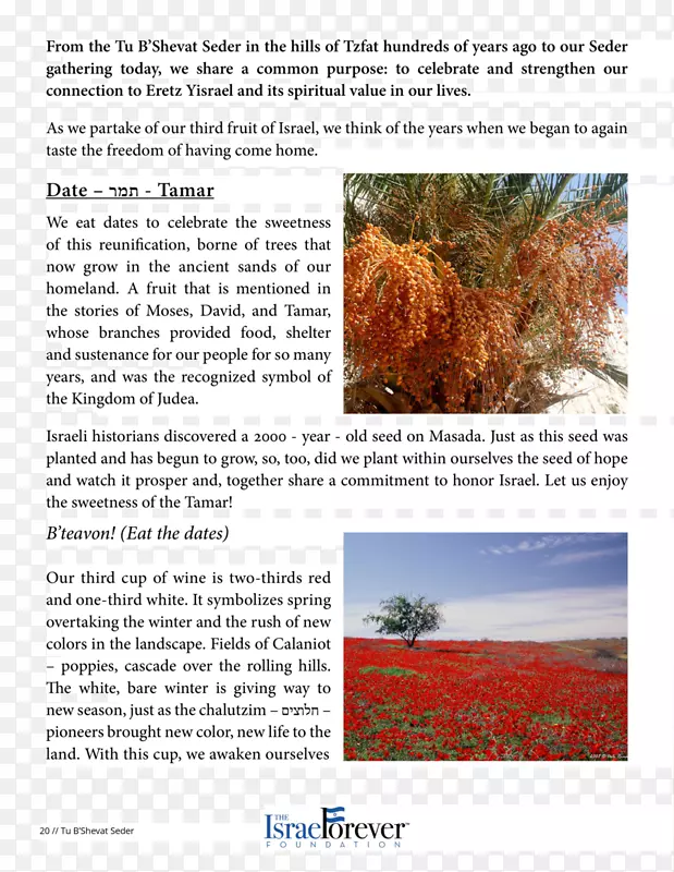 С����-л����-������