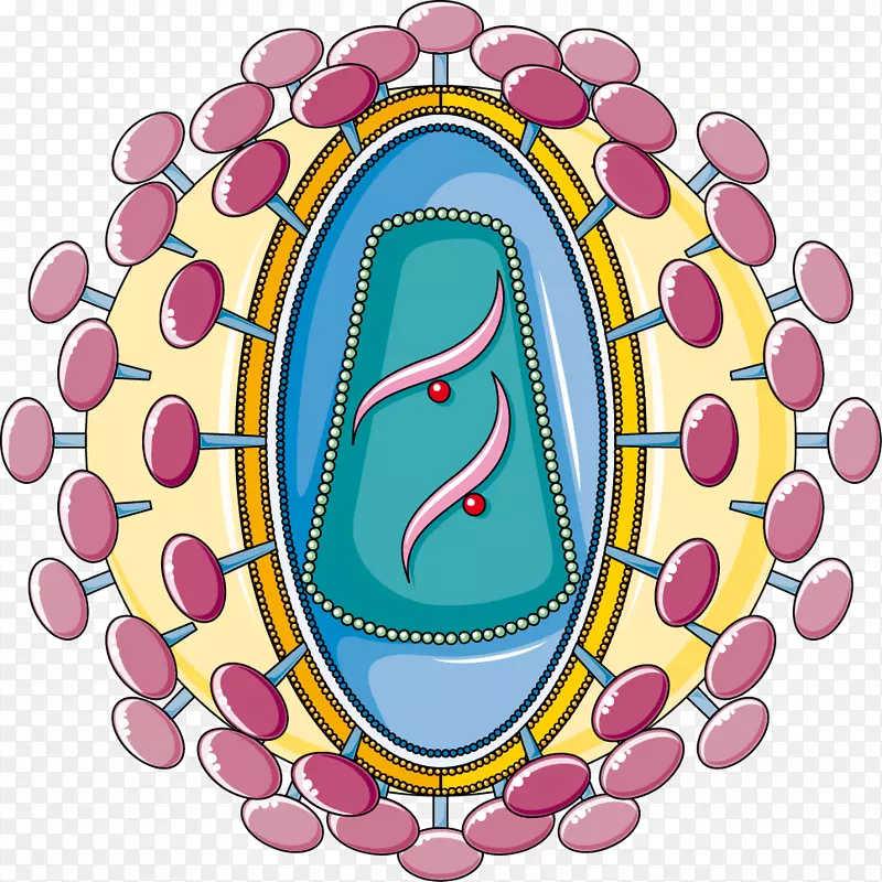 ���̲���/���̲���ѧ����-Cooky-������