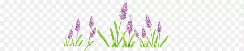 ޹�²�-������