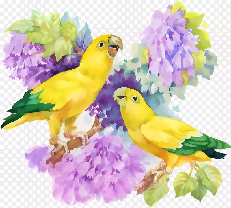 ˮ�ʻ����-������