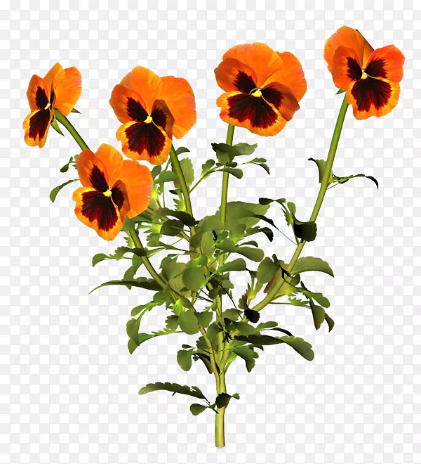 ˮ�ʻ������ܻ滭��ά�ռ�ֲ�ﻨ��ͼ��-������