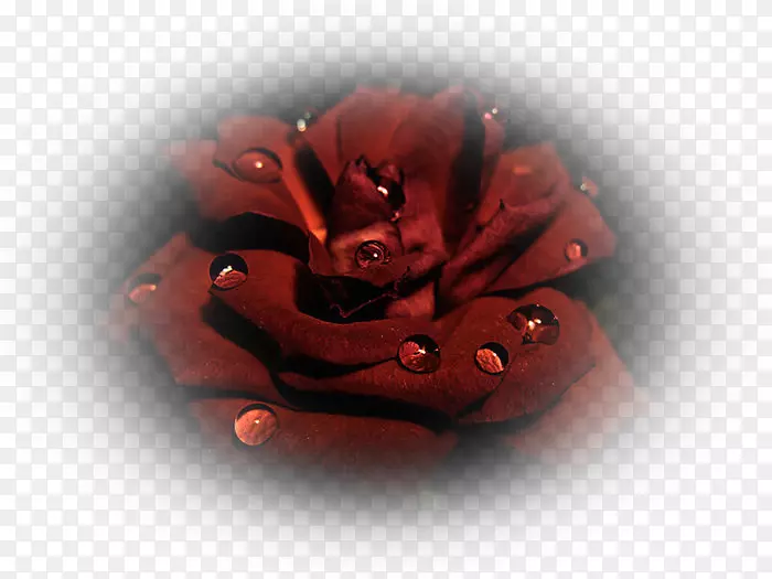 ��԰õ�廨����Ůװ-���⻨��װ��-������