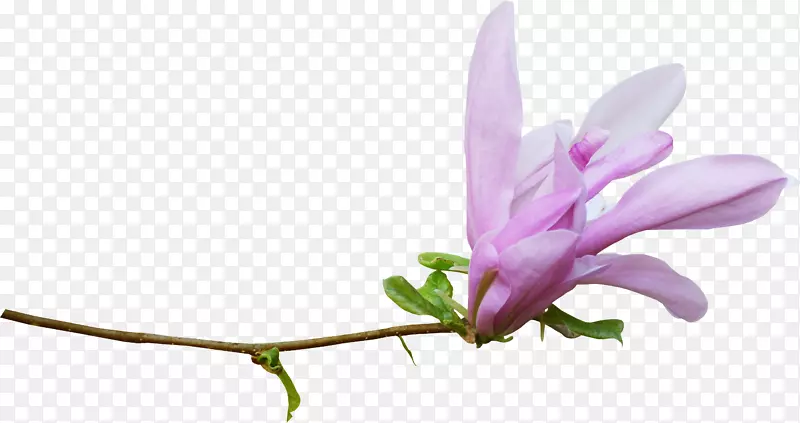 ˮ�ʣ�����ˮ�ʻ��滭-ˮ�ʻ����ܴ��⻨��-������