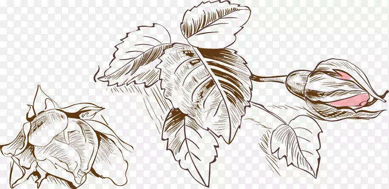 ˮ�ʻ����Ƽ�����ļ�.����ˮ�ʻ�����װ��-������