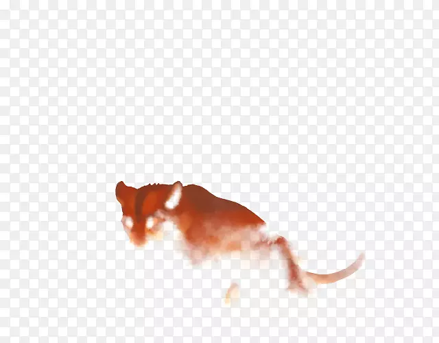 ���󹷱���Ȯ��-����-������