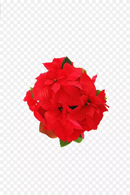 �컨-�컨-������