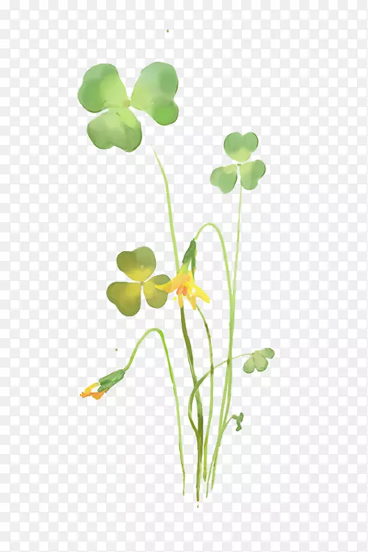 ���������ɫ������.����ͼ��-������