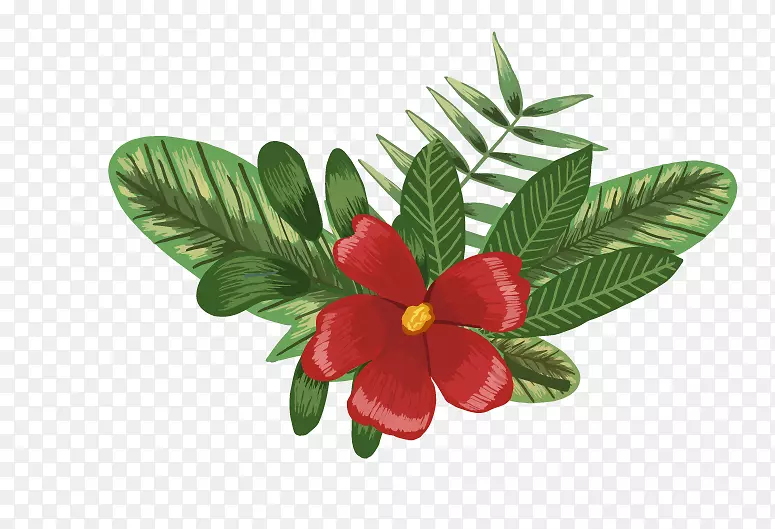 ˮ�ʻ�������ˮ�ʻ��ֻ滨��-������