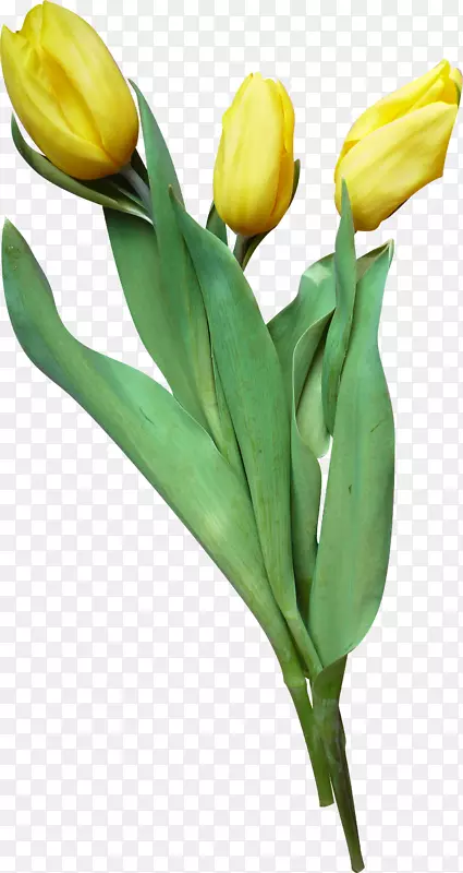 ������õ���л�����������-������