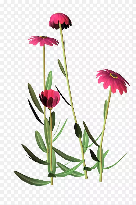 �л���������������Ʊ�������-������