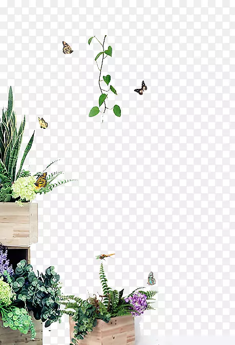 ������ƿ�Ʋ�ݮ����-������