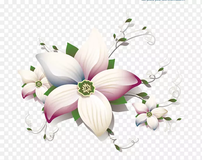 ���ܻ���.���ܲ���-������