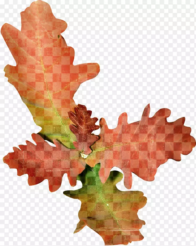 ����ˮ�ʻ�.����ͼ��������Ʋ���-������