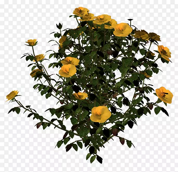 ��ľ����ͼ��-������