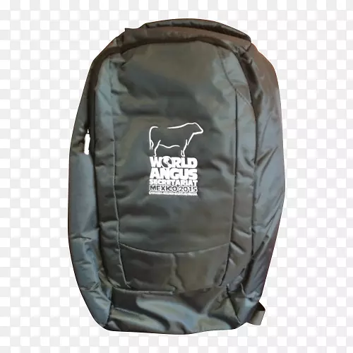 ����˹ţЭ��-������