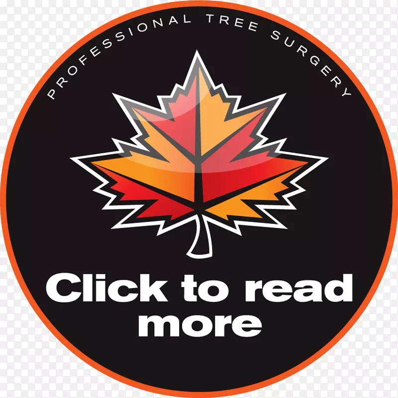 �ʵ���·��������ѧ�ұ�־�ϰ��ն���-������