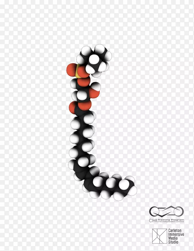 �鱦����-������