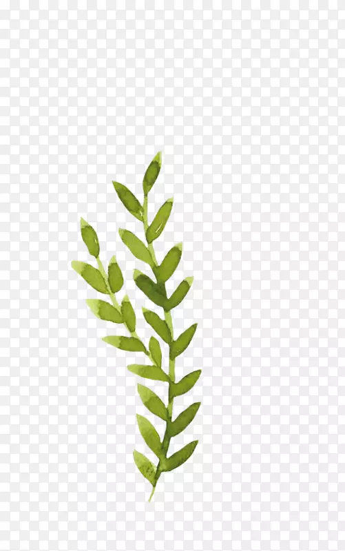 Ҷˮ�ʻ�-������