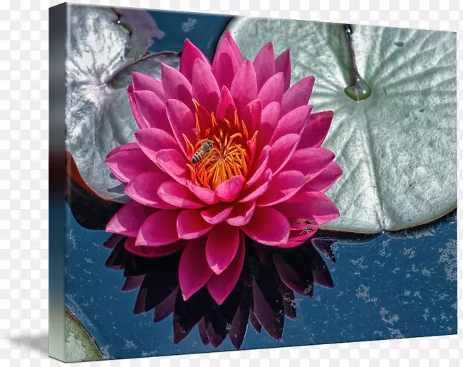 ����������ƾջ�����-�ջ�-������