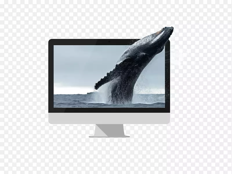 ���Լ�ض�ý�����˹�س���������ֲ�Һ������-���˾�̾�Ļ���-������