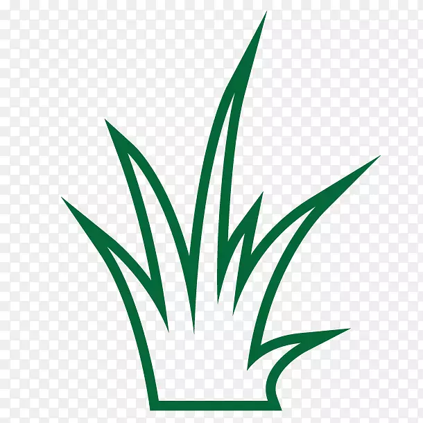 Ҷ��ֲ�ﾥ�߶�����-Ҷ-������