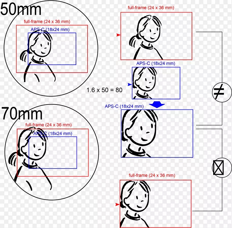 ȫ֡���뵥�����������Ƚ�����Ӱϵͳ��Ӱ.�������ͷ-������