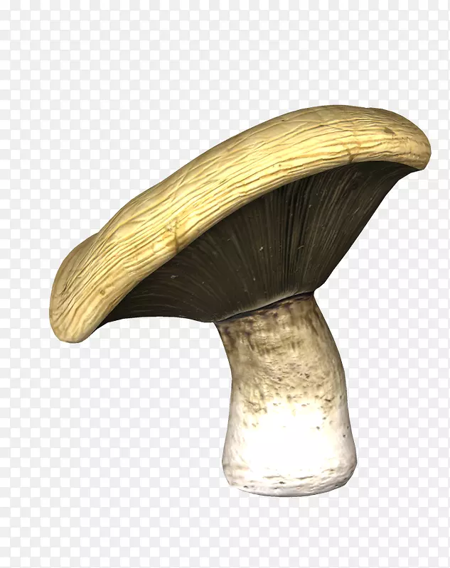 ľ����-���-������