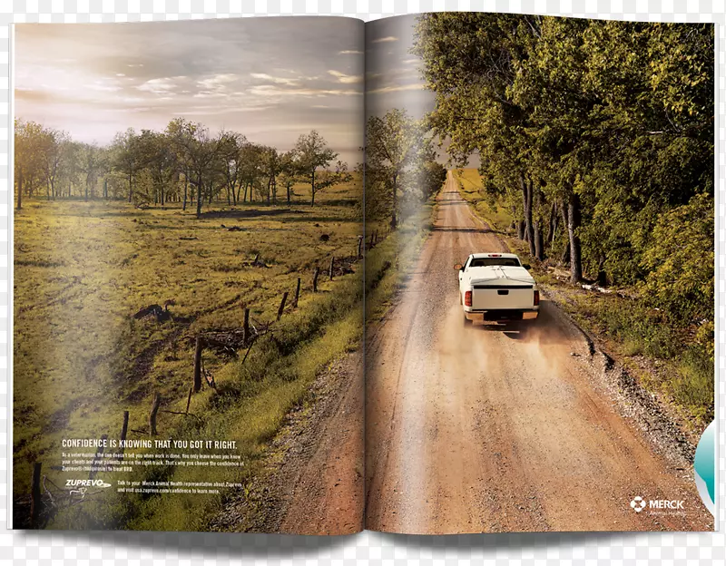 ɽˮ������-������