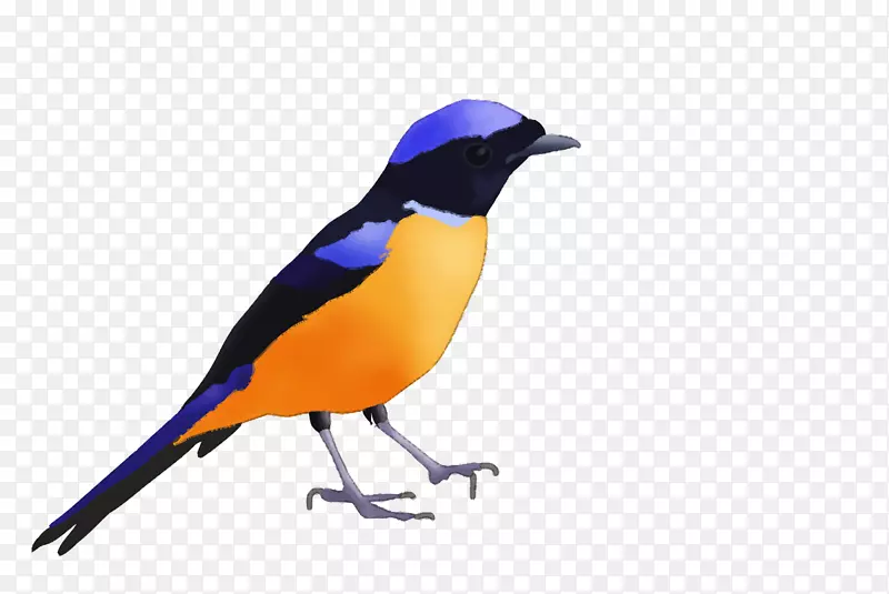 ���-������