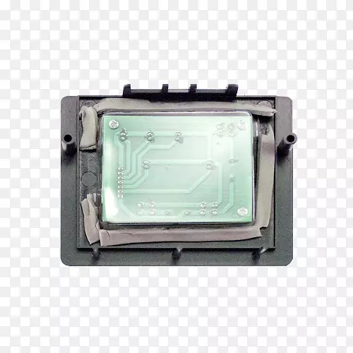 �����Ʊ���-������