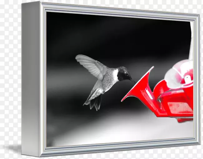 ����.�ڷ���.���-������