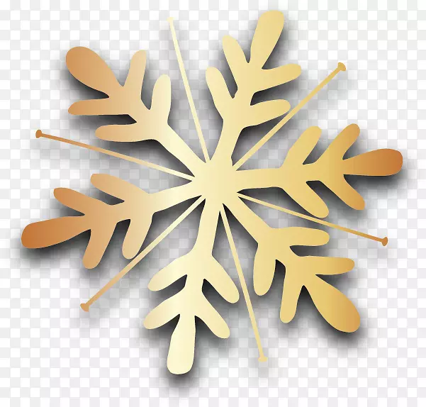 Ҷ�������-������