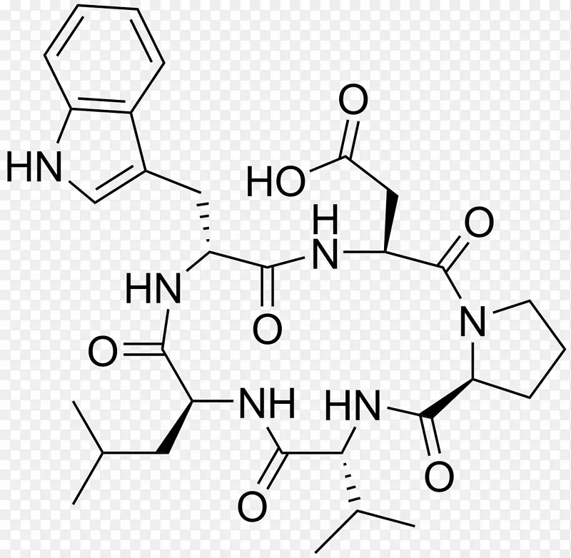 ���ư�ɫ������Ϊ������ָ����-������