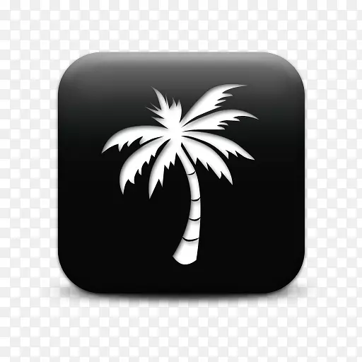 ����ͼ���������ֽ��������-������