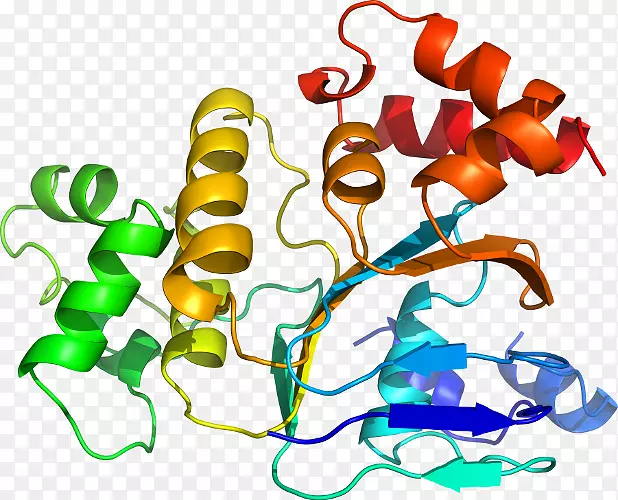 �����߶����������-������